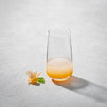 LAV - Lal, Soft Drink Glass, 16.25 oz, 6 pack
